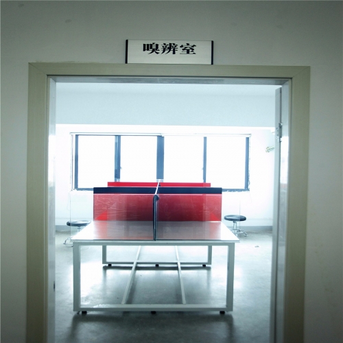 恶臭分析室
